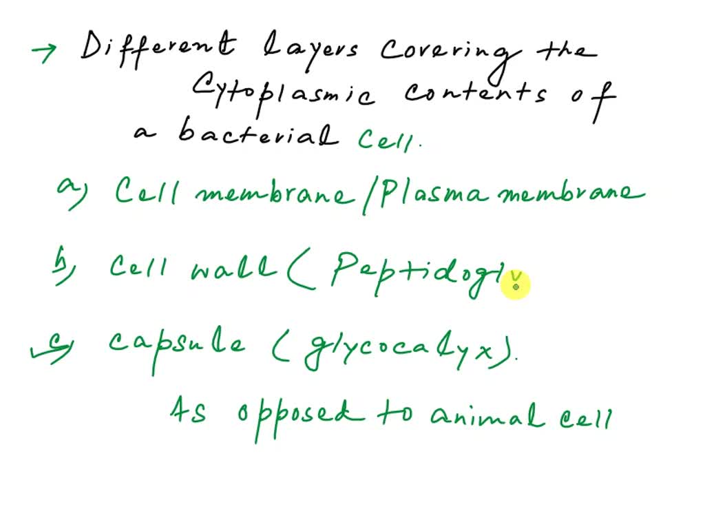 SOLVED: QUESTION 5 Match the cell envelope structure to the type of ...