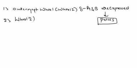 suppose-a-flower-had-normal-expression-of-genes-a-and-c-and-expression-of-gene-b-in-all-four-whorls-based-on-the-abc-hypothesis-what-would-be-the-structure-of-that-flowerstarting-at-the-oute-72026