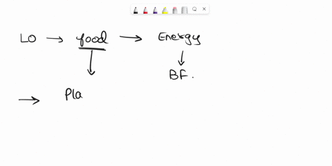 question-4-what-are-the-products-of-the-calvin-cycle-select-all-that-apply-water-oxygen-atp-nadph-g3p-carbon-dioxide-nadp-question-5-what-are-the-products-generated-by-photosynthesis-select-26644
