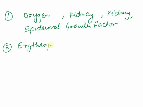 chapter-16-attempt-4-nurses-need-physiologyhemoglobin-and-genetics-roseth-21-stimulates-cells-in-the-to-differentiate-into-red-blood-cellsor-immature-red-blood-cells-called-are-also-sometime-41848
