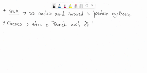 what-are-sections-of-dna-that-produce-the-proteins-which-control-the-characteristics-of-an-organism-rna-genes-alleles-traits-38712