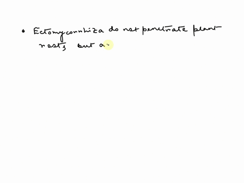 one-major-difference-between-ectomycorrhizae-and-arbuscular-mycorrhizae-js-0-most-ectomycorrhizae-are-zygomycetes-while-most-endomycorhizae-are-basidiomyceles-ectomycorrhizae-do-not-penetrat-27034