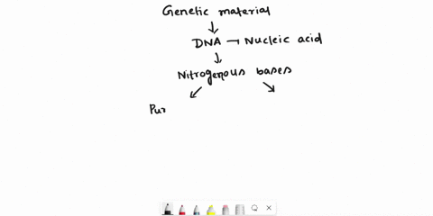 which-describes-the-correct-pairing-of-dna-bases-a-c-with-c-and-g-with-g-o-b-c-with-t-and-g-with-a-o-c-c-with-a-and-g-with-t-o-d-c-with-g-and-a-with-t-90717