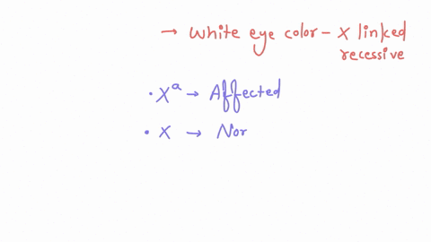 problem-3-as-you-know-fruit-flies-drosophila-normally-have-red-eye-color-wild-type-in-the-1900s-thomas-hunt-morgan-and-his-students-discovered-the-famous-white-eye-mutation-which-is-x-linked-85365