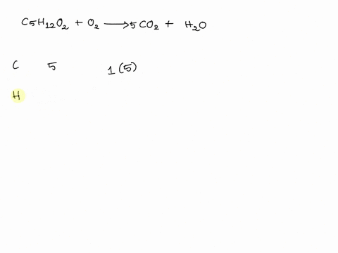 balance-c5h12o2-o2-co2-h2o-24408