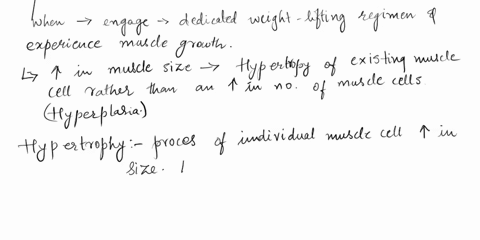 if-you-decided-to-bulk-up-with-a-dedicated-weight-lifting-regimen-would-the-larger-muscles-you-develop-be-due-to-growing-more-muscle-cells-or-having-the-muscle-cells-you-have-grow-larger-if-35366