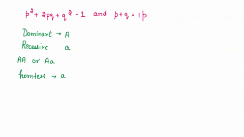 hardy-weinberg-problem-set-p2-2pq-q2-1-and-p-q-1-p-frequency-of-the-dominant-allele-in-the-population-q-frequency-of-the-recessive-allele-in-the-population-p2-percentage-of-homozygous-domina-37485