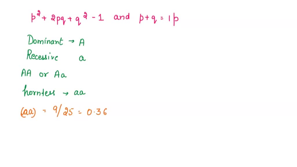 What Does The Following Equation Represent Explain P2 2pq Q2 1