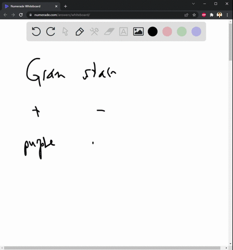 you-have-been-given-an-unknown-bacterial-culture-with-at-least-two-different-bacterial-species-contained-in-it-at-your-disposal-you-have-the-following-supplies-stains-gram-stain-negative-sta-41174