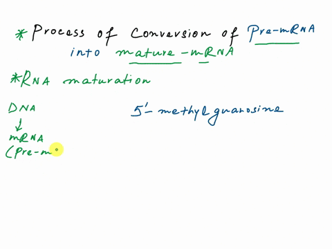 using-a-labeled-diagram-briefly-describe-the-modification-processes-a-eukaryotic-pre-messenger-rna-pre-mrna-has-to-undergo-in-order-to-become-j-mature-mrna-im-aware-the-processes-are-1-cappi-91539