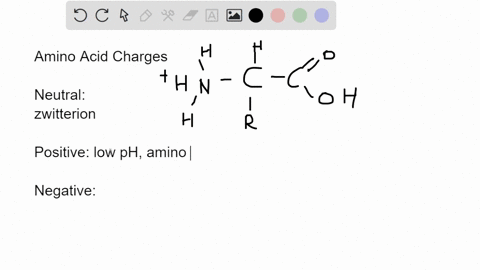 what-are-the-charges-on-the-amino-and-carboxyl-groups-of-an-amino-acid-at-ph-11-hints-neutral-means-uncharged-the-first-part-of-the-answer-is-the-charge-on-the-amino-group-the-second-part-is-80231