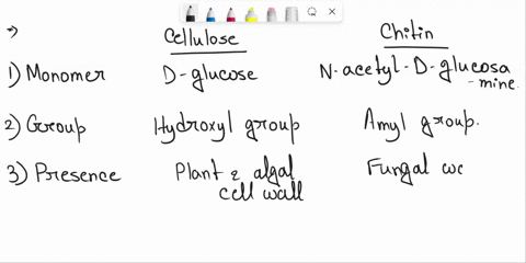 compare-and-contrast-cellulose-and-chitin-what-are-the-most-important-noncovalent-bonds-or-interactions-in-cellulose-what-structural-differences-between-glycogen-and-cellulose-explain-their-24005