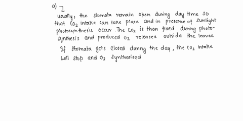 please-help-me-all-of-them-on-a-hotdry-afternoon-this-graph-tracks-a-bean-plants-stomata-over-24-hoursthe-dotted-line-indicates-partial-closing-of-stomata-0-9am-v-6pm-12am-12am-1ado-30m-12am-75952