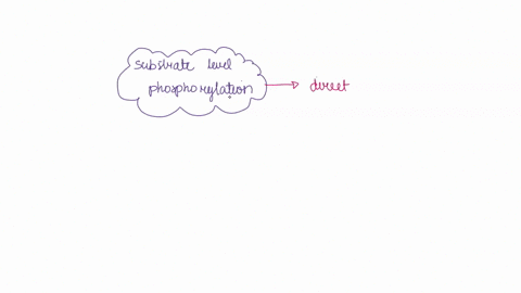 please-answer-the-following-questions-all-of-the-following-reactions-are-examples-of-substrate-level-phosphorylation-in-glycolysis-and-the-tca-cycle-except-a-phosphoglycerokinase-gly-7-b-pyr-69484