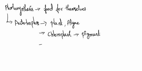 29-in-plants-cells-in-the-leaves-mainly-make-food-for-the-plant-which-organelle-does-these-cells-have-that-enables-them-to-make-food1-pointathese-cells-have-plastids-with-pigment-chlorophyll-44441