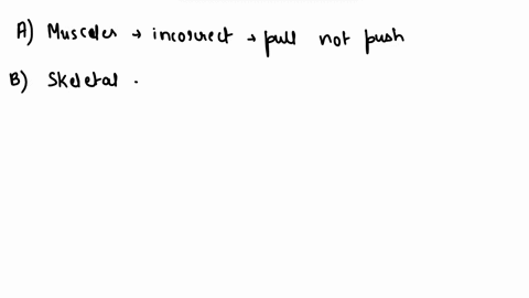 which-statement-correctly-describes-the-human-muscular-system-amuscles-of-the-body-can-pull-and-push-bskeletal-muscles-often-form-in-hollow-internal-structures-cthe-smooth-and-cardiac-muscle-28935