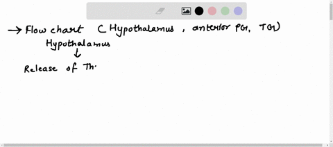 3-create-a-flow-chart-illustrating-the-relationship-between-the-hypothalamus-the-anterior-pituitary-gland-and-the-thyroid-you-must-include-the-following-in-your-flow-chart-thyrotropin-releas-02549