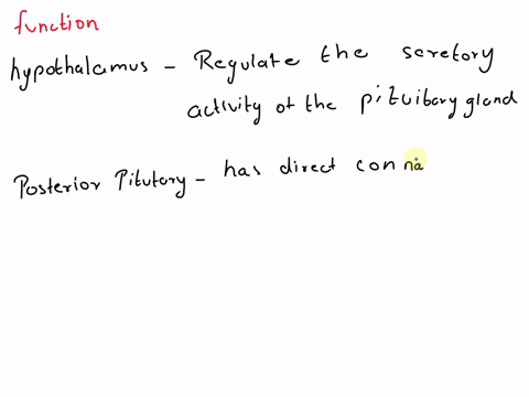 neurontnonnitt-located-inferior-the-pituitary-gland-regulutes-the-secretory-aclivity-of-the-pituitary-gland-located-superior-t0-ihe-thalamnus-the-posterior-pituitary-has-direct-connection-wi-73486