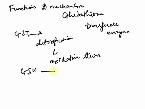 what-is-the-function-and-mechanism-of-glutathione-transferases-enzyme-69713