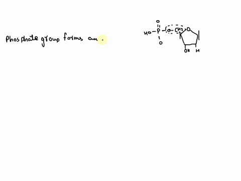 what-type-of-bond-connects-the-phosphate-group-to-the-sugar-in-a-nucleotide-a-ionic-bond-b-phosphoether-bond-c-glycosidic-bond-d-hydrogen-bond-e-phosphoester-bond-13763