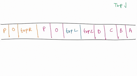 the-coli-lac-operon-is-an-example-of-an-inducible-operon-because-transcription-of-the-operon-is-induced-by-lactose-the-e-coli-trp-operon-is-an-example-of-repressible-operon_-because-transcri-13267
