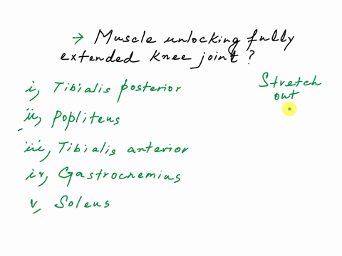 question-88-which-muscle-unlocksthe-fully-extended-knee-joint-o-tibialis-posterior-opopliteus-otibialis-anterior-ogastrocnemius-osoleus-1pt-65524