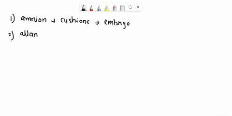membrane-amnion-function-allantois-chorion-iyolk-sac-49822