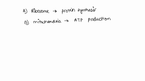 question-2-mandatory-1-point-which-structure-function-pair-is-mismatched-a-ribosome-protein-synthesis-b-mitochondrion-atp-production-lysosome-intracellular-digestion-d-golgi-lipid-production-10013