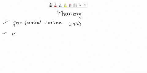 the-____-is-not-needed-to-encode-sensory-information-into-short-term-memory-or-to-retrieve-that-information-from-it-but-is-required-to-move-information-from-short-term-into-long-term-memory-86988