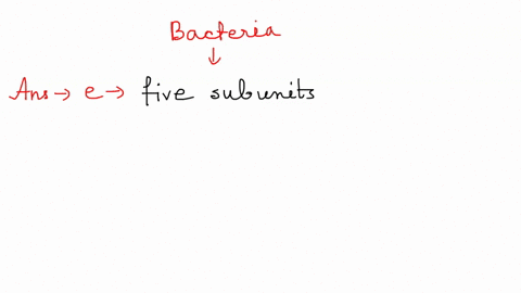 in-bacteria-the-core-enzyme-of-the-rna-polymerase-is-made-up-of-sigma-factor-holoenzyme-rna-dna-five-subunits-99576
