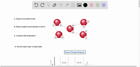 when-heat-energy-is-added-to-boiling-water-it-leads-to-which-of-the-following-a-the-disruption-of-non-covalent-interactions-b-the-breaking-of-the-covalent-bonds-between-the-hydrogens-and-the-85416