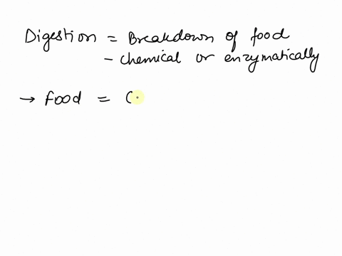 what-one-type-of-reaction-is-the-basis-of-all-chemical-digestion-88312