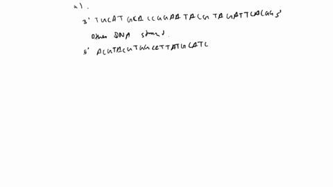 2-the-genetic-code-on-the-mrna-is-read-in-the-5-to-3-direction-in-sets-of-3-bases-at-a-time_-these-sets-are-referred-to-as-codons-o-triplets-assume-the-template-strand-of-the-above-transcrip-68846