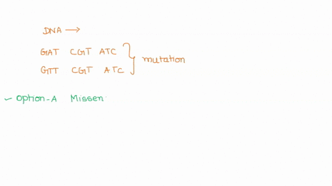 13-if-your-dna-went-from-gat-cgt-atc-to-gtt-cgt-atc-what-type-of-mutation-do-you-have-missense-frameshift-no-mutation-d-nonsense-40226