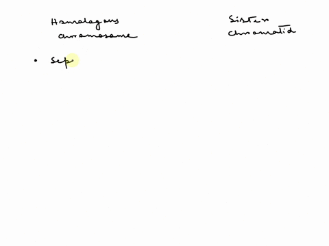 explain-the-difference-between-homologous-chromosome-pairs-and-sister-chromatids-66277
