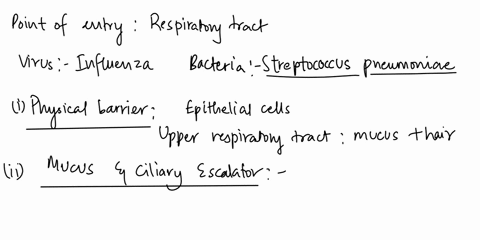 choose-a-type-of-pathogen-eg-a-virus-or-bacterium-and-take-your-pathogen-on-a-tour-of-the-human-body-your-goal-is-to-provide-the-pathogen-with-as-much-information-as-possible-so-that-it-can-19023