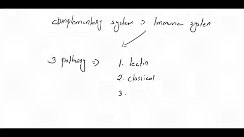 18-there-are-major-pathways-described-for-initiating-the-complement-cascade-give-the-name-ofthe-pathways-as-wellas-the-initiating-first-protein-involved-in-each-pathway-3-pathway-name-lectin-95216