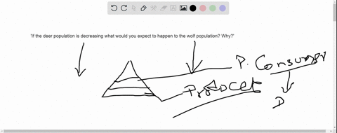 if-the-deer-population-is-decreasing-what-would-you-expect-to-happen-to-the-wolf-population-why-30228