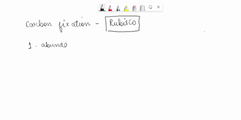 in-what-process-would-you-find-the-enzyme-rubisco-playing-an-important-role-a-catabolism-b-glycolysis-c-fermentation-d-carbon-fixation-37256