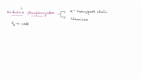 the-passage-of-hydrogen-ions-through-_______-down-their-electrochemical-gradient-hamesses-the-energy-03312