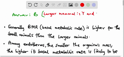 researchers-measure-the-heart-rates-breathing-rates-and-blood-volume-relative-to-body-size-for-two-mammals-significantly-higher-in-mammal-which-option-in-the-table-best-compares-mammals-x-an-66216