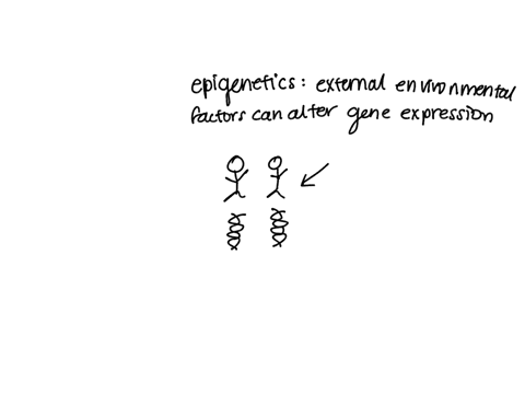 many-diseases-are-caused-by-a-combination-of-environmental-and-genetic-factors-identical-twins-provide-an-ideal-setting-to-study-this-complex-interaction-new-research-comparing-gene-expressi-43188