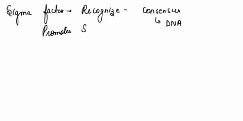 which-of-the-following-statements-regarding-prokaryotic-rna-polymerase-is-are-true-check-all-that-apply-the-sigma-factor-does-not-remain-associated-with-the-core-enzyme-core-during-elongatio-26065