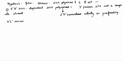 what-was-the-significance-of-the-pola1-mutation-2-10337