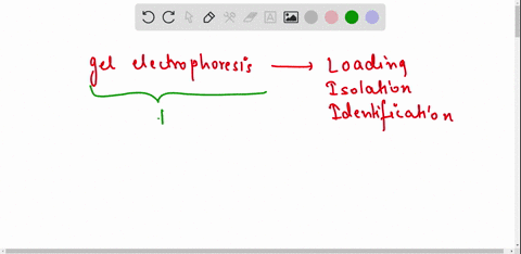 explain-the-process-of-dna-extraction-and-gel-electrophoresis-09272