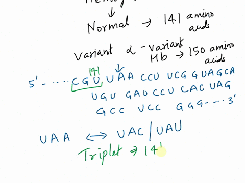 a-human-hemoglobin-variant-occurs-in-certain-populations-the-variant-hemoglobin-is-slightly-defective-in-its-oxygen-carrying-function-causing-a-mild-anemia-normal-alpha-hemoglobin-has-141-am-35928