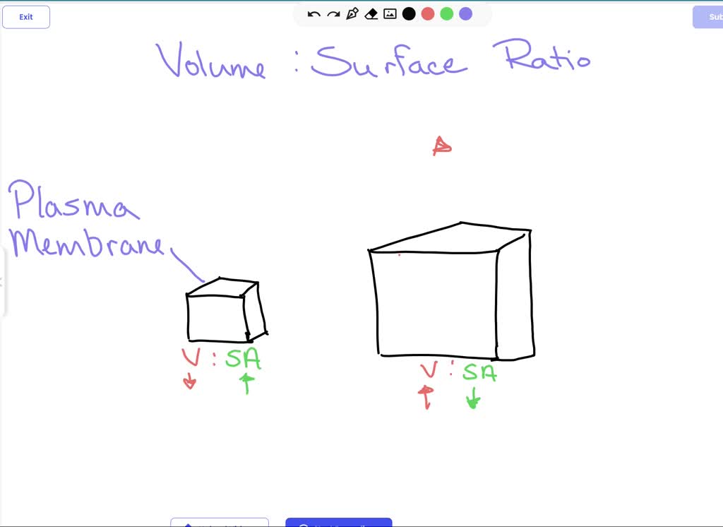 SOLVED PostLab Questions 1. How did the surface area affect the