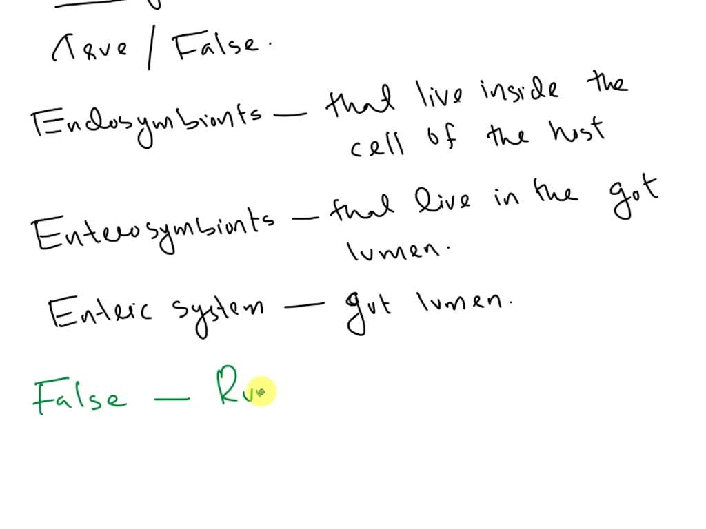 SOLVED: Question 12 1 pts Wolfe et al. 2007 identify five stages that ...