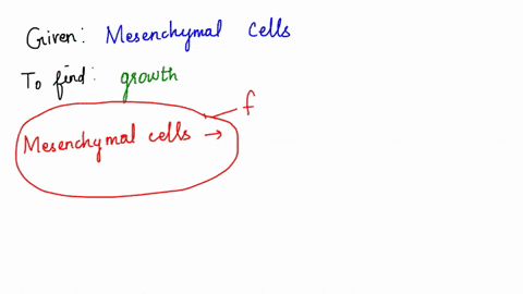 question-15-2-pts-mesenchymal-cells-in-the-center-of-sheet-of-fibrous-connective-tissue-developing-into-osteoblasts-describes-appositional-growth-longitudinal-growth-intramembranous-ossifica-21992