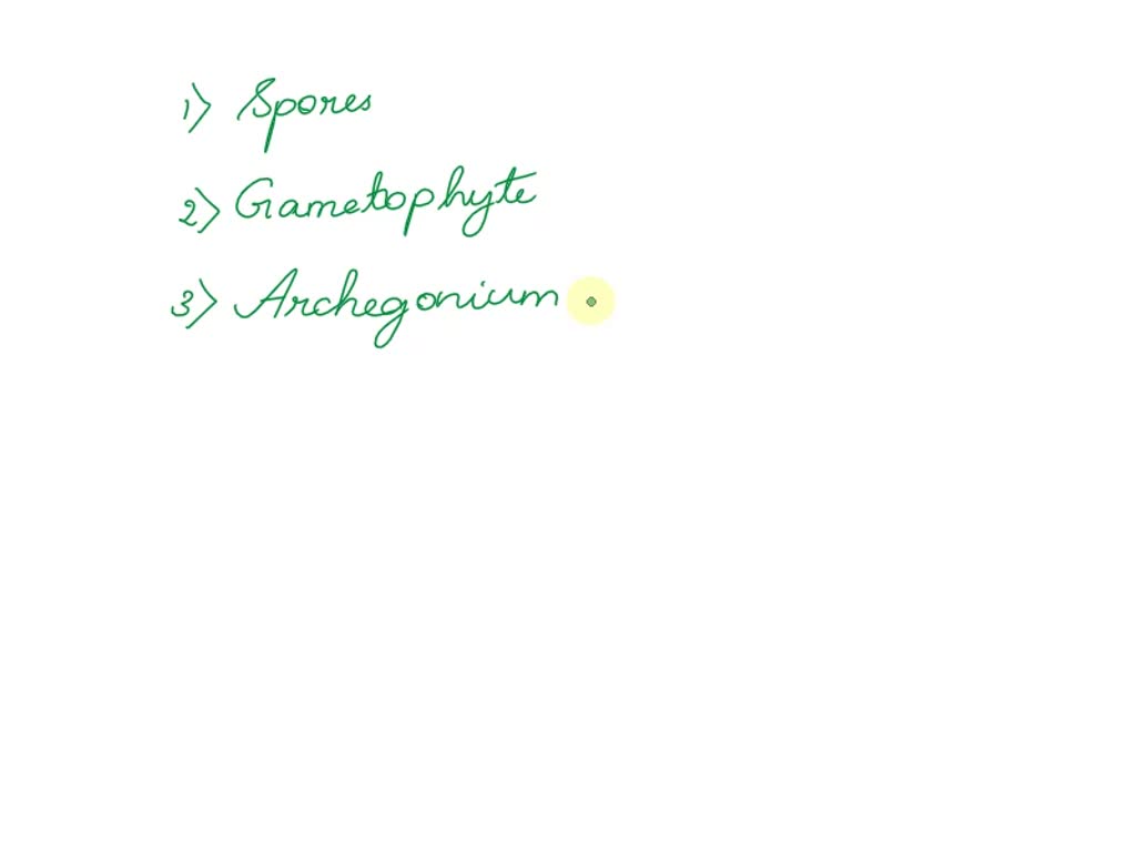 SOLVED Identify the structures processes occurring on the fern life